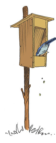 Distributeur automatique.jpg