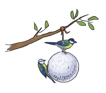 Boule de graisse.jpg