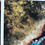 Thumbnail: PRINT: learned to lie