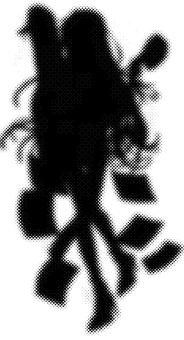 디어 카사블랑카_전신6.png