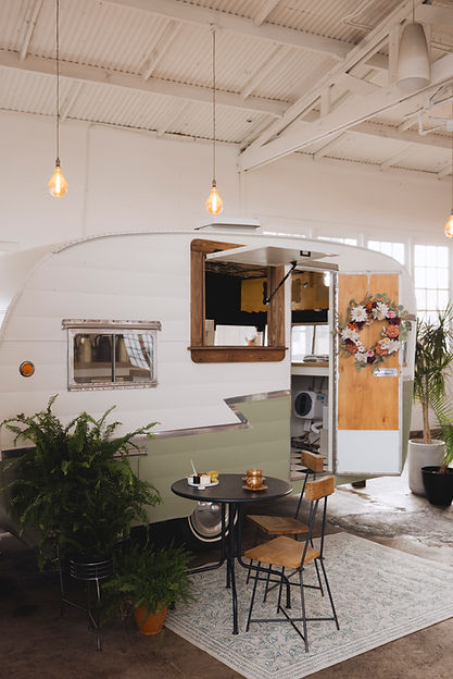 FiddleFigTea_75 (1).JPG