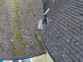 Blocked gutter close up.jpg