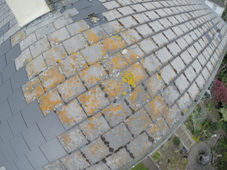 Missing and damaged tiles