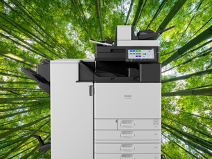 Quick Facts About Sustainable Printing: What Businesses Need to Know