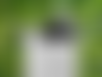 Quick Facts About Sustainable Printing: What Businesses Need to Know