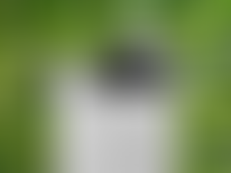 Quick Facts About Sustainable Printing: What Businesses Need to Know