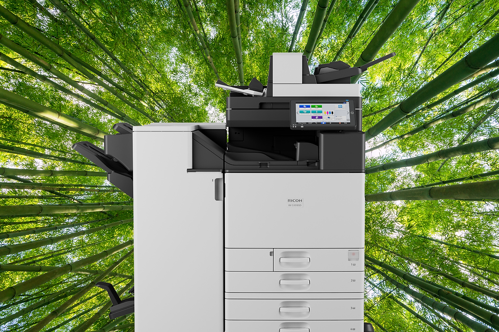Quick Facts About Sustainable Printing: What Businesses Need to Know