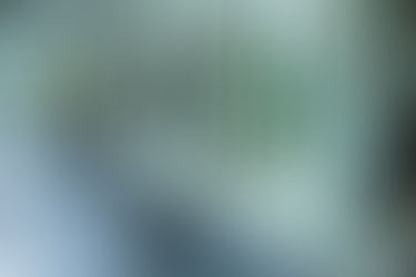 Palm Beach Salon of the Year 2019