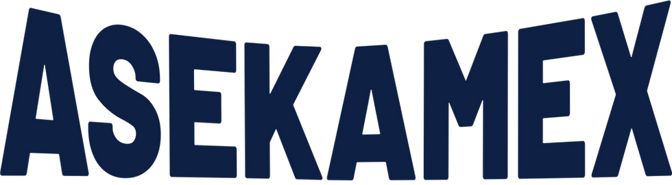 Logo PNG asekamex_edited.png