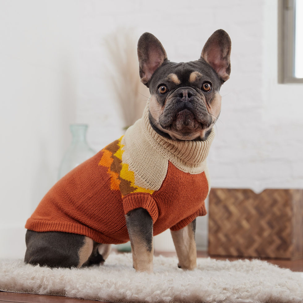 Thumbnail: Fireside Sweater - Chili