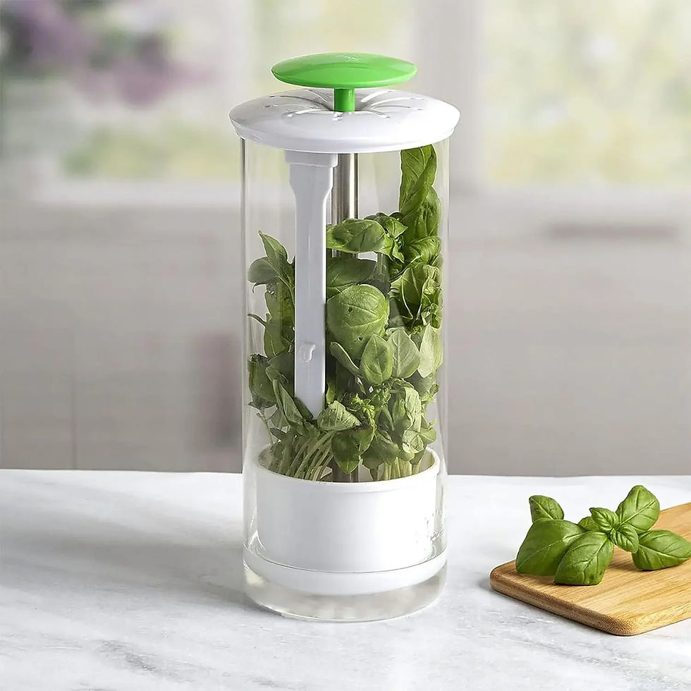 Thumbnail: Herb Saver Storage Container Fresh Herb Keeper Vanilla Vegetables Fresh Breathab