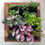 Thumbnail: 12 Pocket Indoor Waterproof Vertical Living Wall Planter