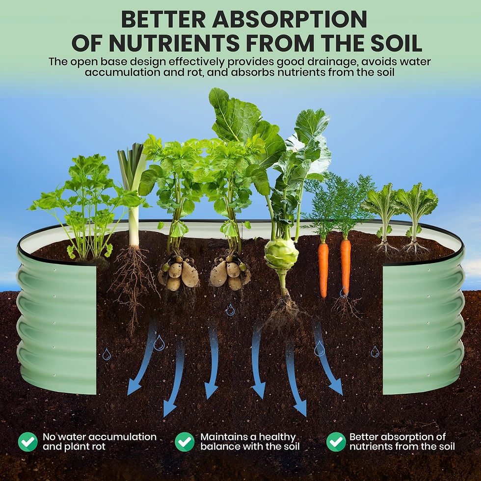 Thumbnail: 2-Pack Oval Galvanized Steel Raised Garden Bed Open Base Safety Edge Metal Plant