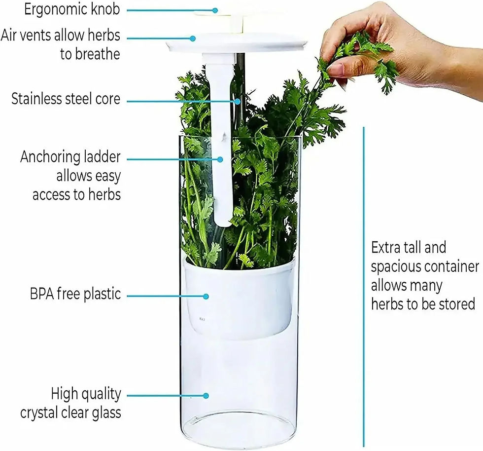 Thumbnail: Herb Saver Storage Container Fresh Herb Keeper Vanilla Vegetables Fresh Breathab