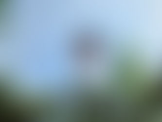 منارة كوالالمبور KL Towers