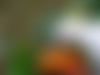 TAMAN BURUNG حديقة الطيور كوالالمبور