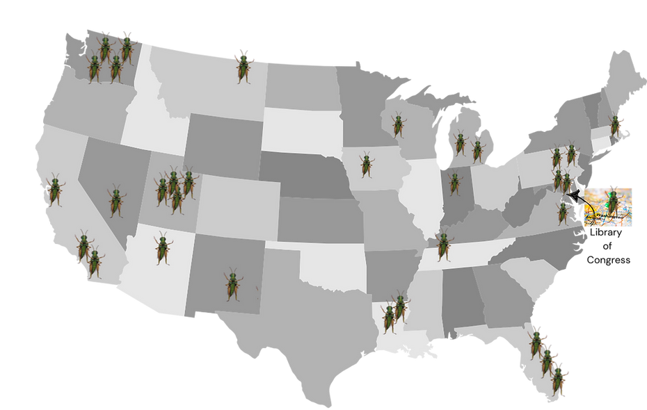 April 4 2025 update.png