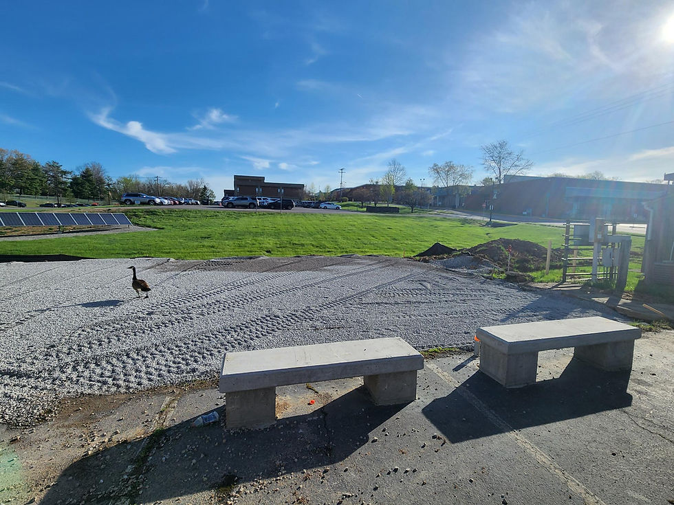 Greenhouse Progression - BCTC's Leestown Campus
