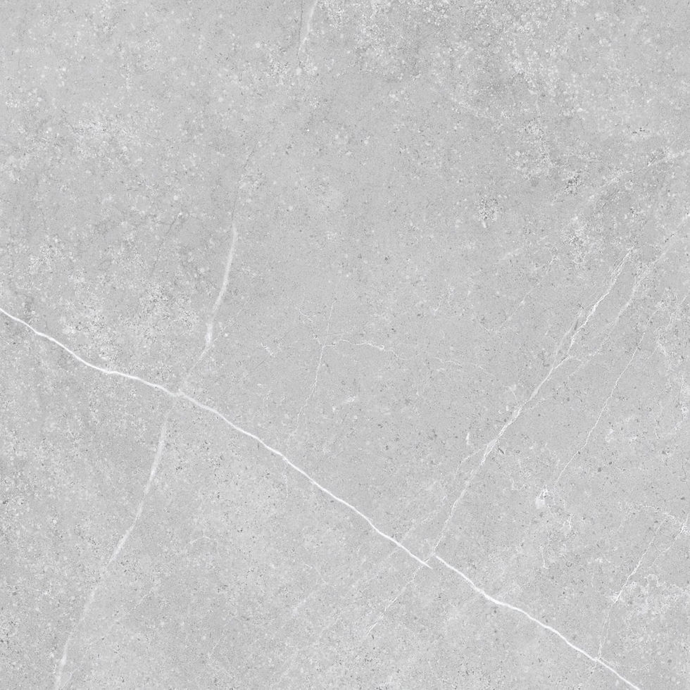 PGVT Grigio Marble Silver