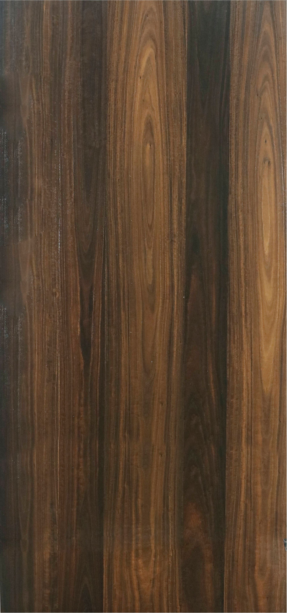 Smoked Eucalyptus Crown