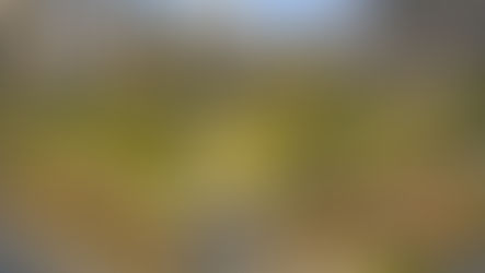 Atlanta parks are missing something: retail spaces