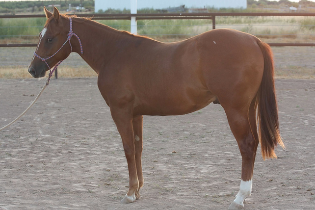 Stylish Lil Spark as 2 yr old_edited.png