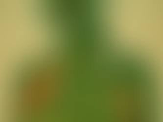 Holistiska pieeja veselībai – nevis daļas, bet kopaina