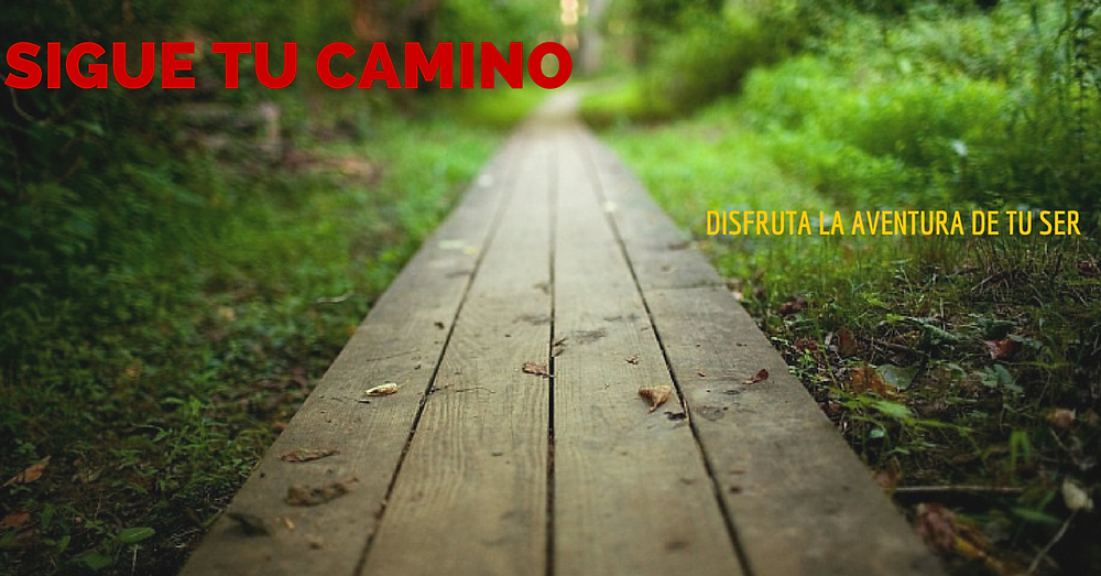 sigue tu camino.png