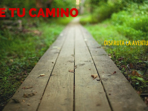 Poema de la asertividad