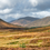 Miniature : PARC DES CAIRNGORMS highlands