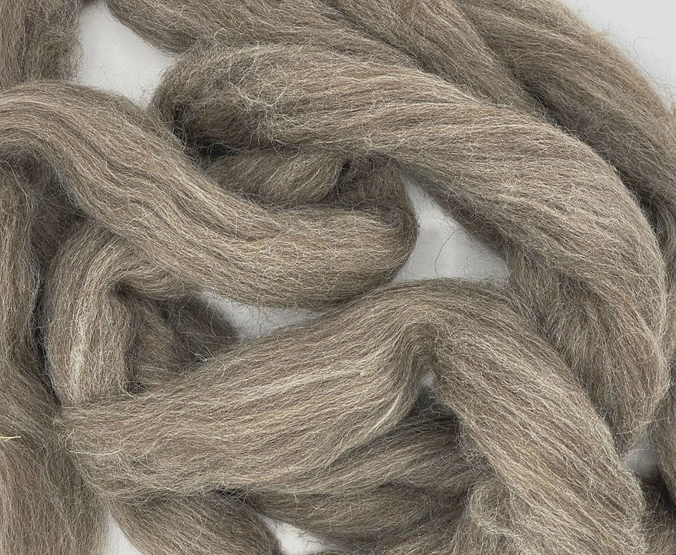 Miniature : Laine Blue Leicester FaceD (BFL) marron naturel vue en gros plan