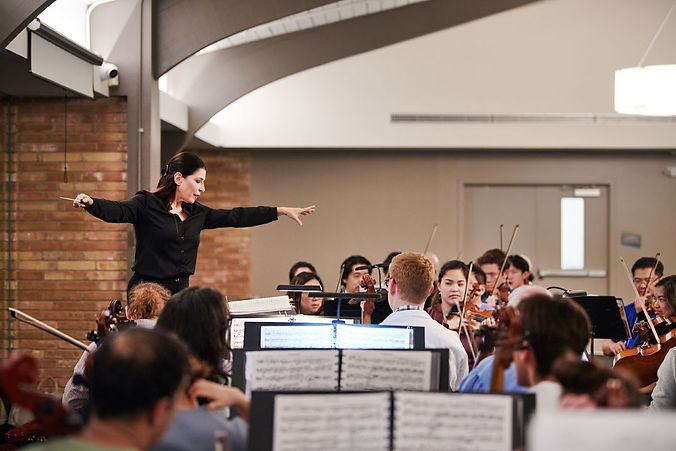 TMC_Orchestra_Houston_by_Anthony_Rathbun_ej8cua.jpg