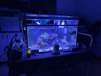 image84.jpeg