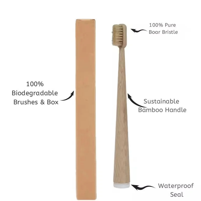 Thumbnail: 10 PCS Boar Bristles Natural Bamboo Toothbrush Biodegradable Completely-Free of 