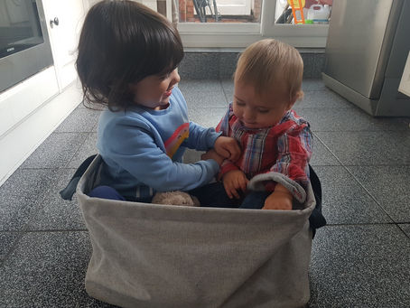Tips for Surviving Two Under Two: Managing Life with a Toddler and a Newborn