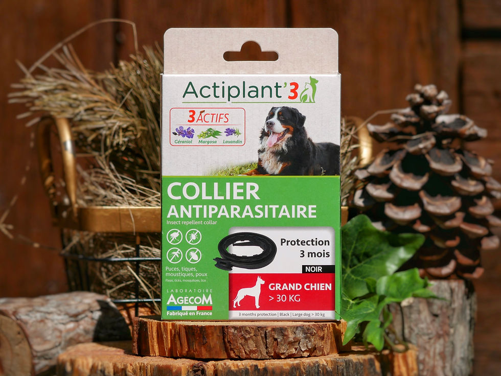 Collier antiparasitaire chien>30kg