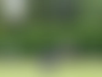 Drage Raises the Ruth in Top Club Victory