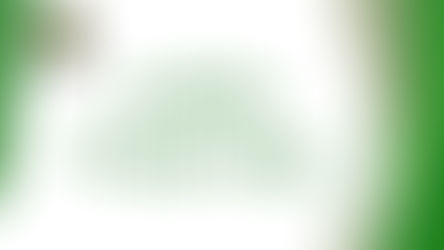 Finals programme for Suffolk BE Ladies