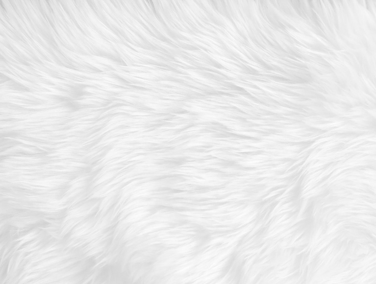 Values background.png