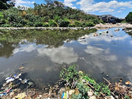 Hasta en los ríos más sucios existe vida: Los macroinvertebrados que revelan aguas contaminadas     