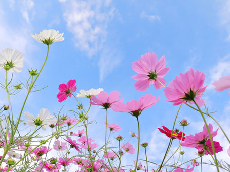 令和7年 秋の土用期間