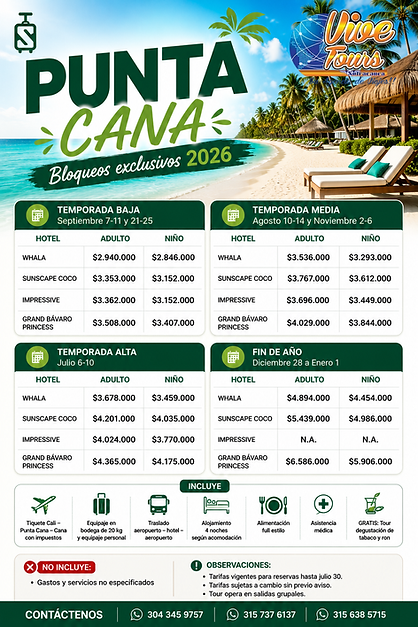 PUNTA CANA(1).png
