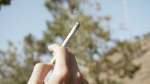 PRE-ROLLS