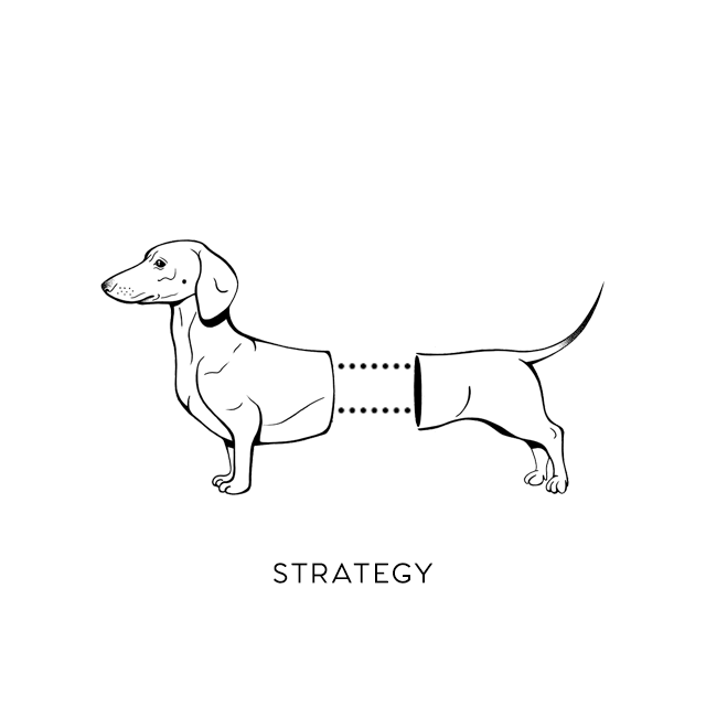 STRATEGY.gif