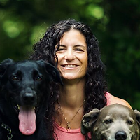 Janine-Cammarata-Author-Middle-Grade-Fiction.png