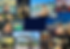 tpb web (A2 (Landscape)) (4).png