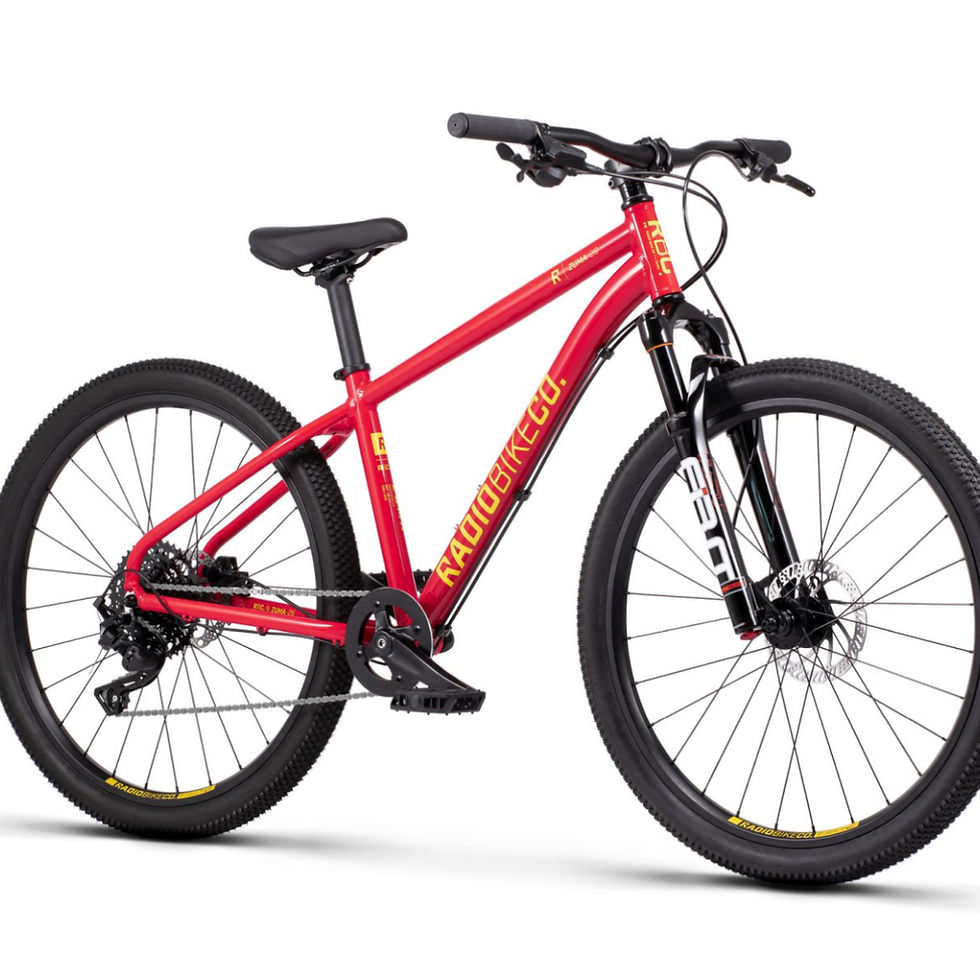 Miniature : Radio KidsMTB ZUMA 26" SUS Orange