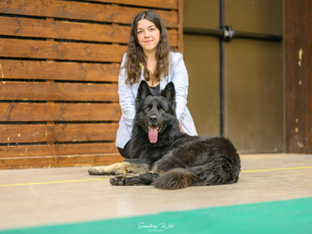 Résultats de la Nationale d'élevage d'Oberhaslach les 15 et 16 novembre 2025