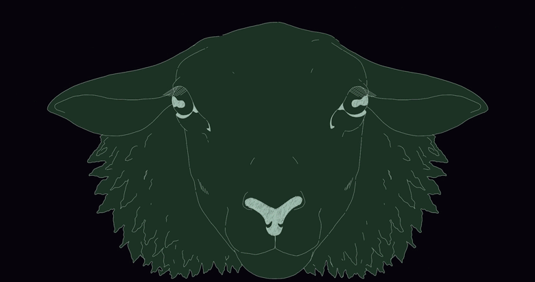 Sheephead.gif