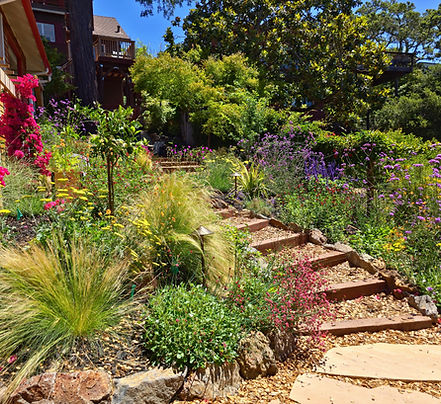 Beautiful, abundant and functional ecological landscaping